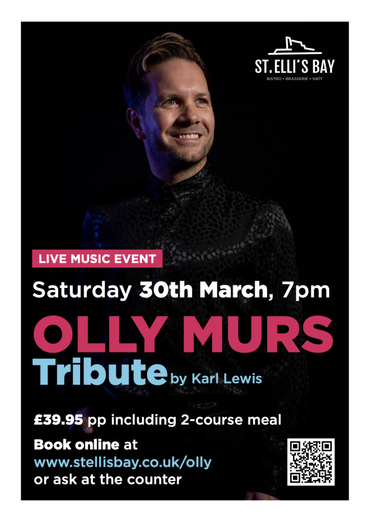 Olly Murs Tribute Live Llanelli 30th March