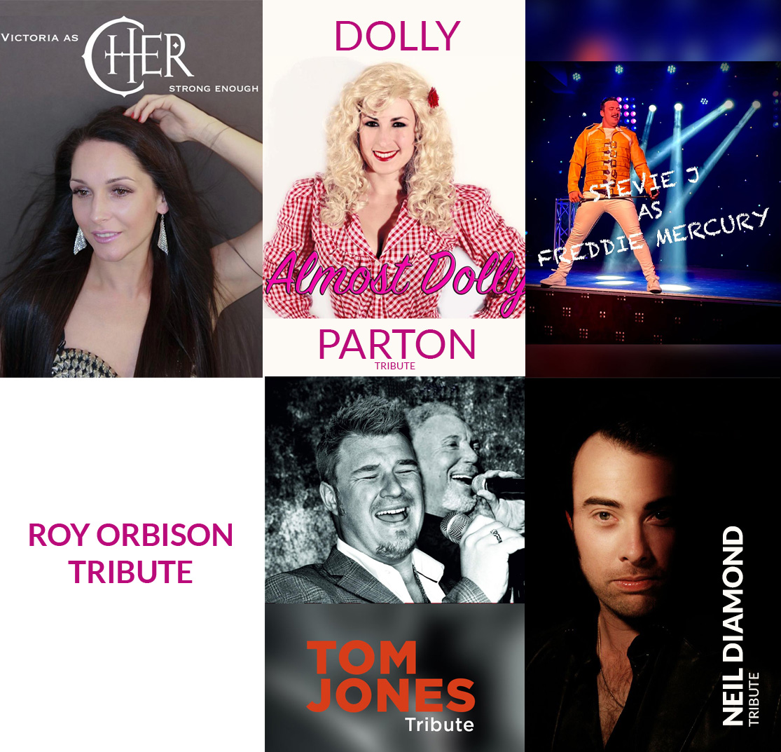live music tribute acts christmas parties llanelli 2025